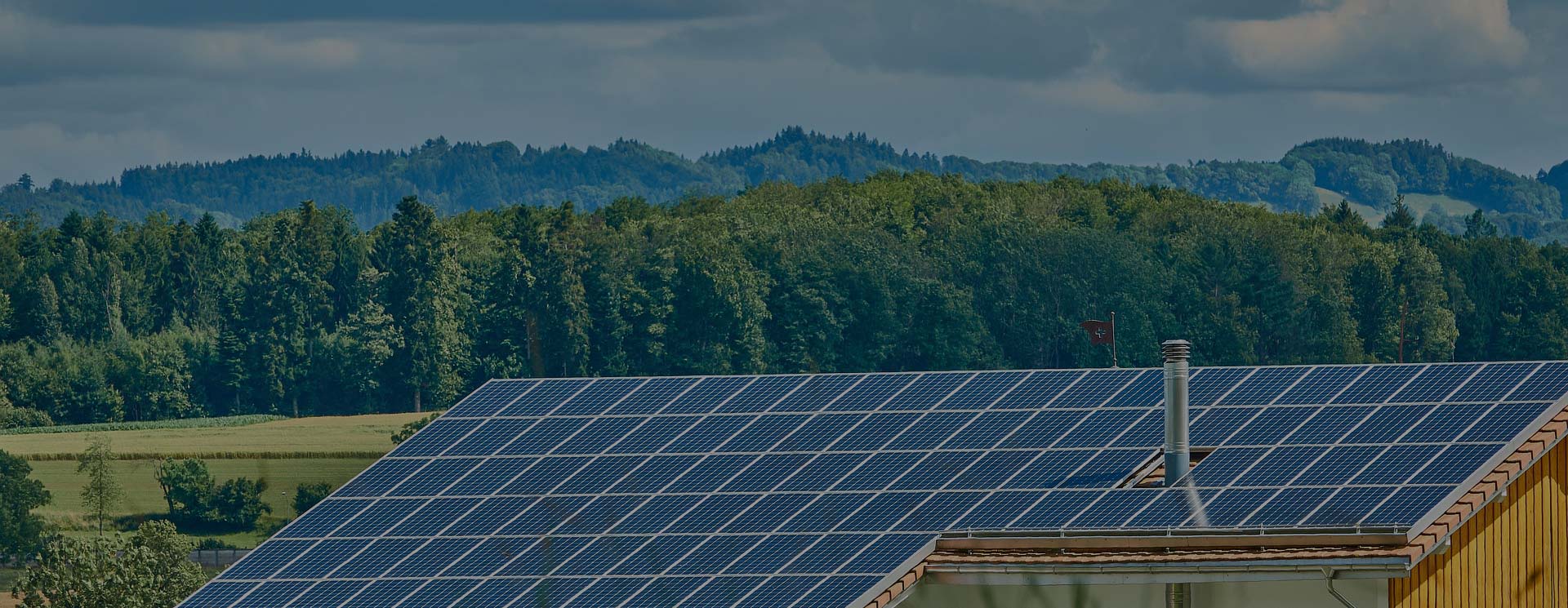 2025新澳门2025原料网