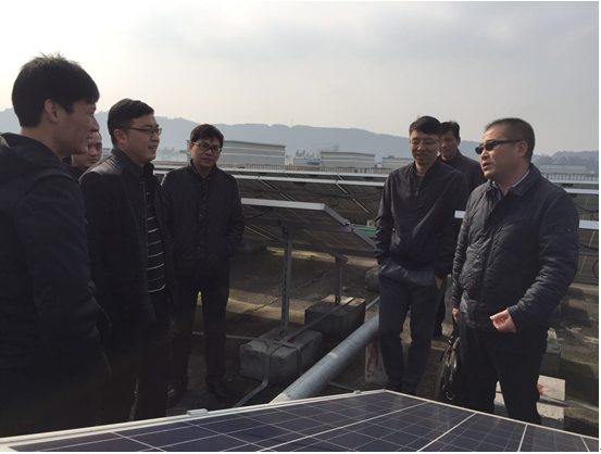 2025新澳门2025原料网